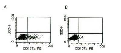 Flow Cytometry: NKp46/NCR1 Antibody (B-L46) - Azide and BSA Free [NBP3-14597]