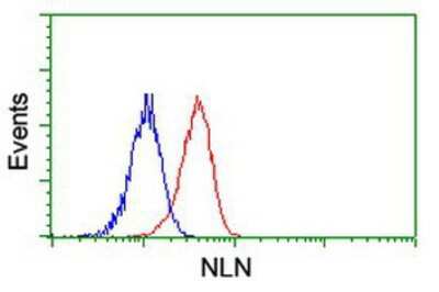 Flow Cytometry: Neurolysin Antibody (OTI1D6) [NBP2-01693]