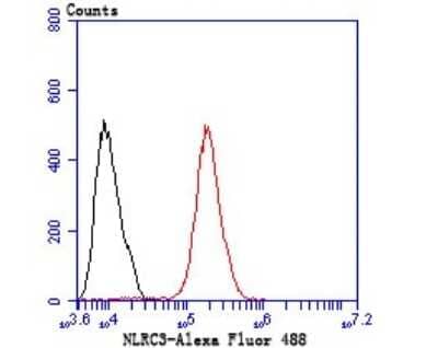 Flow Cytometry: NLRC3 Antibody [NBP2-75593]