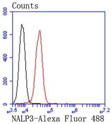 Flow Cytometry: NLRP3/NALP3 Antibody (SC06-23) [NBP2-67639]