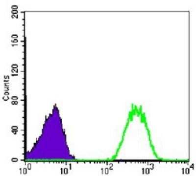 Flow Cytometry: NM23-H1 Antibody (4B2) - BSA Free [NBP1-47398]