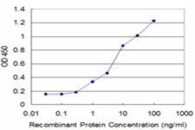 ELISA: NM23-H2/NME2 Antibody (1E4) [H00004831-M11]