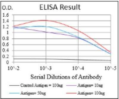 ELISA: NM23-H2/NME2 Antibody (4G7A8) - BSA Free [NBP2-52519]