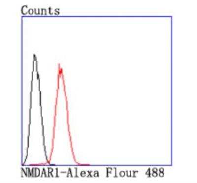 Flow Cytometry: NMDAR1 Antibody (JM11-26) [NBP2-66982]