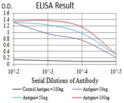 ELISA: NMDAR2B Antibody (6E9A8) - BSA Free [NBP2-61746]