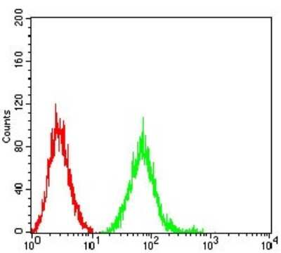 Flow Cytometry: NMDAR2B Antibody (6E9A8) - BSA Free [NBP2-61746]