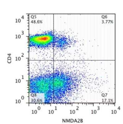 Flow Cytometry: NMDAR2B Antibody [NB300-106]