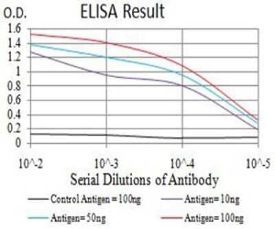 ELISA: NMDAR3B Antibody (2A8E11) - BSA Free [NBP2-61747]