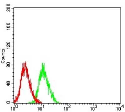 Flow Cytometry: NMDAR3B Antibody (2A8E11) - BSA Free [NBP2-61747]