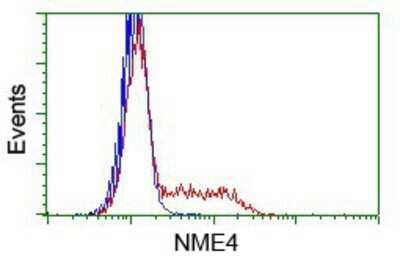 Flow Cytometry: NME4 Antibody (OTI1A5) - Azide and BSA Free [NBP2-73005]