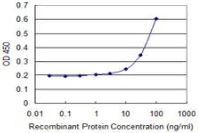 ELISA: NMNAT-2 Antibody (2G8) [H00023057-M04]
