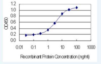 ELISA: NOP10 Antibody (6H6) [H00055505-M01-100ug]