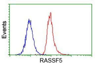 Flow Cytometry: NORE1 Antibody (OTI1H2) [NBP2-03691]