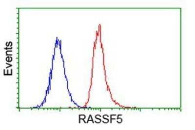 Flow Cytometry: NORE1 Antibody (OTI1H2) - Azide and BSA Free [NBP2-73041]