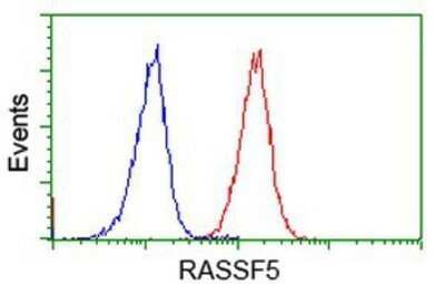 Flow Cytometry: NORE1 Antibody (OTI1H2) - Azide and BSA Free [NBP2-73041]