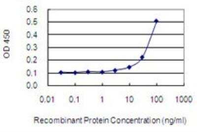 ELISA: NPHP3 Antibody (3B1) [H00027031-M05]