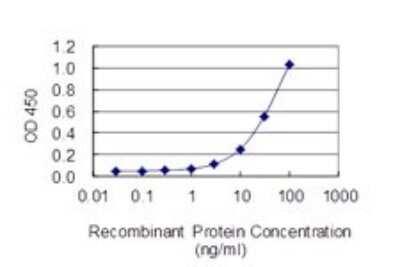 Sandwich ELISA Capture: NPRB/NPR2 Antibody (2A6) [H00004882-M01]