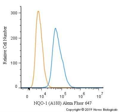 Flow Cytometry: NQO-1 Antibody (A180) - Azide and BSA Free [NBP2-80885]