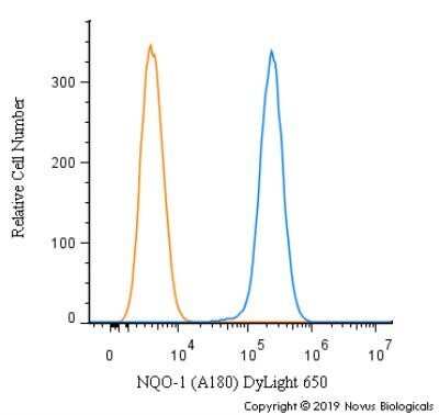 Flow Cytometry: NQO-1 Antibody (A180) - Azide and BSA Free [NBP2-80885]