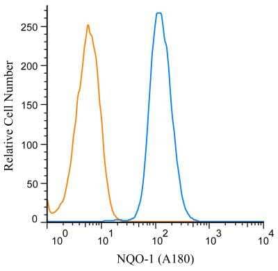 Flow (Intracellular): NQO-1 Antibody (A180) [NB200-209]