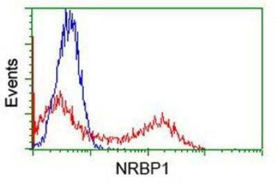 Flow Cytometry: NRBP1 Antibody (OTI5C3) [NBP1-47883]