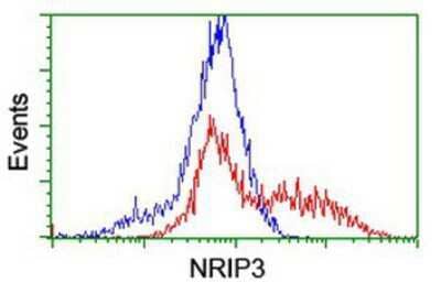 Flow Cytometry: NRIP3 Antibody (OTI1G6) [NBP2-03763]