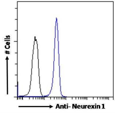 Flow Cytometry: NRXN1 Antibody [NBP1-00219]