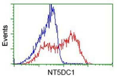 Flow Cytometry: NT5DC1 Antibody (OTI1E11) [NBP2-02914]