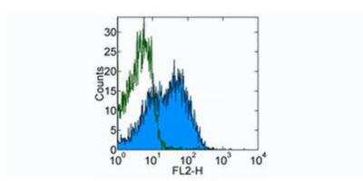 Flow Cytometry: NTB-A/SLAMF6/CD352 Antibody (13G3-19D) [NBP1-43344]