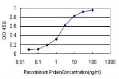 ELISA: NUDC Antibody (5G12) [H00010726-M01]