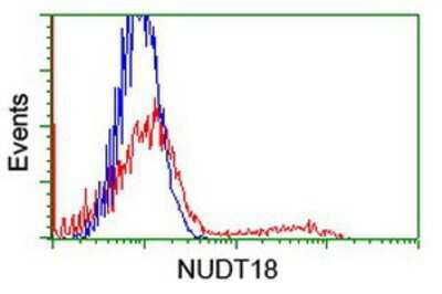 Flow Cytometry: NUDT18 Antibody (OTI5D7) [NBP2-01432]