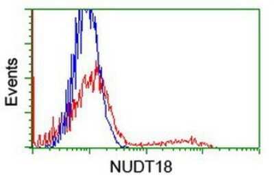 Flow Cytometry: NUDT18 Antibody (OTI5D7) - Azide and BSA Free [NBP2-73110]