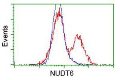 Flow Cytometry: NUDT6 Antibody (OTI9D12) [NBP2-03554]