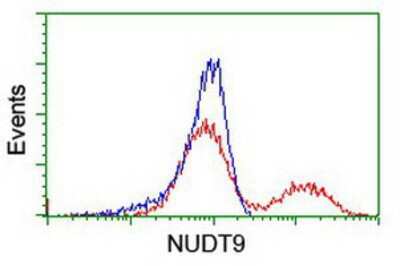 Flow Cytometry: NUDT9 Antibody (OTI7A12) [NBP2-01072]