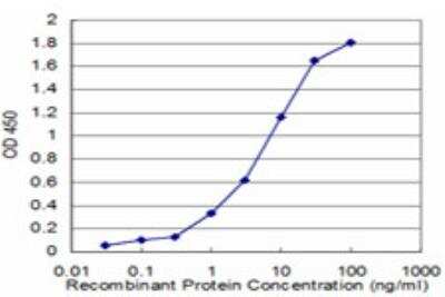ELISA: NVL Antibody (3D10) [H00004931-M03]