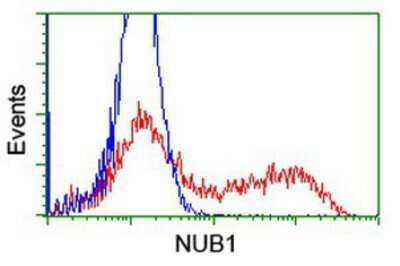 Flow Cytometry: NUB1/NYREN18 Antibody (OTI4H2) [NBP2-03897]