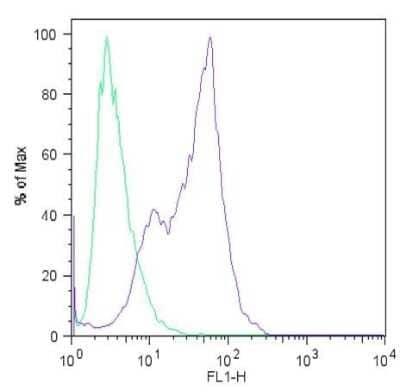 Flow Cytometry: Nanog Antibody (23D2-3C6) [NBP2-22632]
