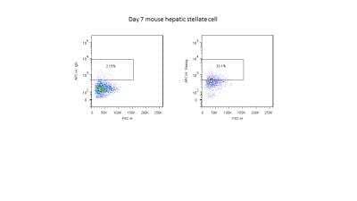 Flow Cytometry: Nanog Antibody [NB100-588]