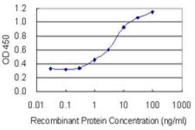 ELISA: Nanos3 Antibody (4B11) [H00342977-M02-100ug]