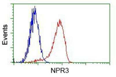 Flow Cytometry: Natriuretic Peptide Receptor C Antibody (OTI4C3) [NBP2-02401]