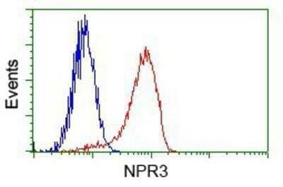 Flow Cytometry: Natriuretic Peptide Receptor C Antibody (OTI4C3) - Azide and BSA Free [NBP2-72881]