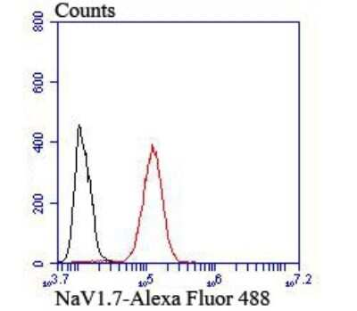 Flow Cytometry: Nav1.7 Antibody [NBP2-75581]