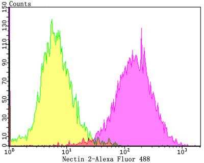 Flow Cytometry: Nectin-2/CD112 Antibody (JG39-64) [NBP2-76852]