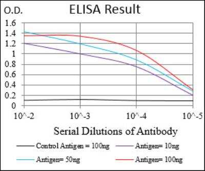 ELISA: Neprilysin-2/MMEL1 Antibody (2D2H5) - BSA Free [NBP2-52511]