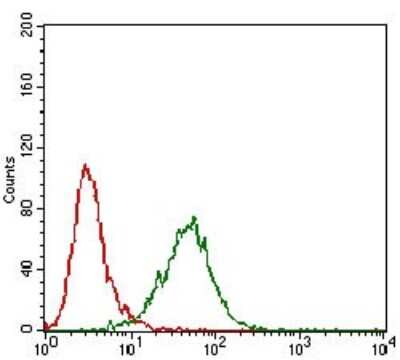 Flow Cytometry: Neprilysin-2/MMEL1 Antibody (2D2H5) - BSA Free [NBP2-52511]
