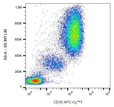 Flow (Cell Surface): Neprilysin/CD10 Antibody (MEM-78) - BSA Free [NB500-372]