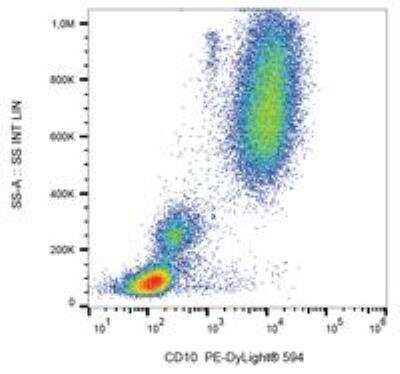 Flow (Cell Surface): Neprilysin/CD10 Antibody (MEM-78) - BSA Free [NB500-372]