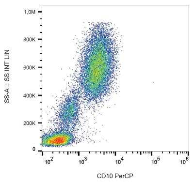 Flow (Cell Surface): Neprilysin/CD10 Antibody (MEM-78) - BSA Free [NB500-372]