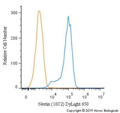 Flow Cytometry: Nestin Antibody (10C2) - Azide and BSA Free [NBP2-80869]