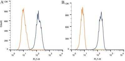 Flow Cytometry: Nestin Antibody (10C2) - Azide and BSA Free [NBP2-80869]